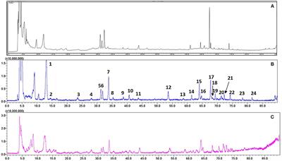 Radix Rehmanniae Extract Ameliorates Experimental Autoimmune Encephalomyelitis by Suppressing Macrophage-Derived Nitrative Damage